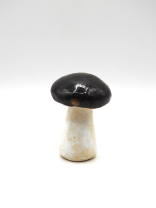 Borowik ceramiczny mniejszy