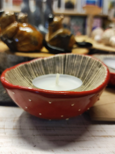 Czapka muchomora świecznik mniejszy Czapka muchomora świecznik mniejszy
