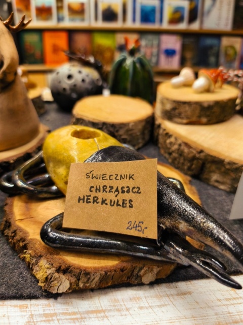 Świecznik ceramiczny chrząszcz herkules